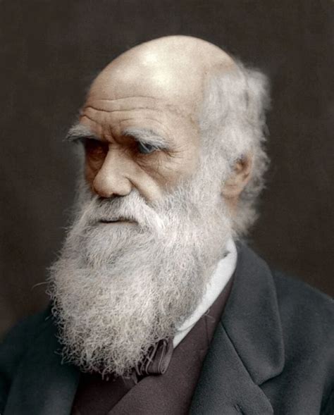 Darwin